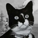 История кота, трижды попадавшего в кораблекрушения и трижды спасшегося