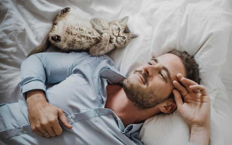 ТОП-6 причин разрешить коту спать в Вашей постели