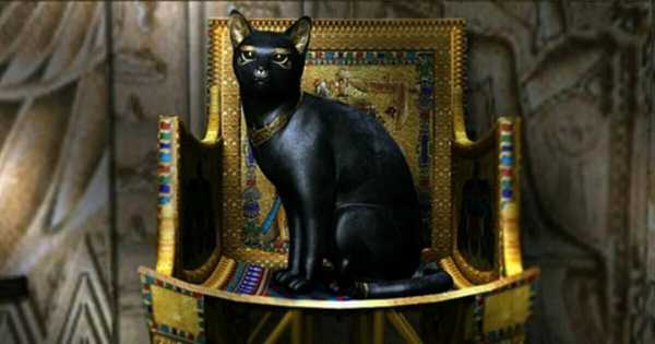 Как кошки помогли захватить неприступную крепость - а все из-за любви египтян к этим милым животным