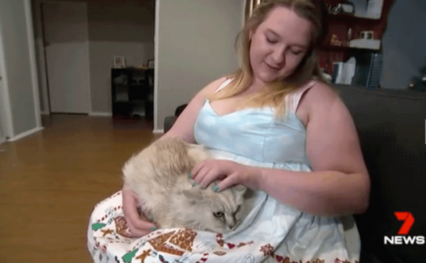 Рождественская история - девочка потеряла любимую кошку, а спустя долгих 14 лет вновь обрела ее