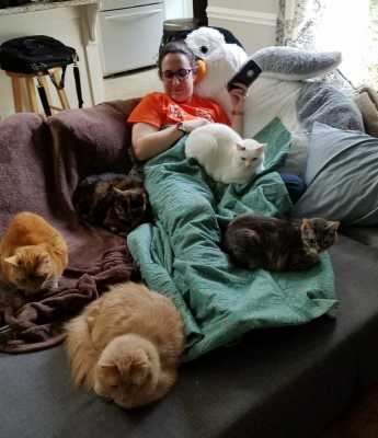 Пожилого котика со слабым здоровьем забрали из приюта – теперь он живет дома в окружении любящих хозяев и других котов