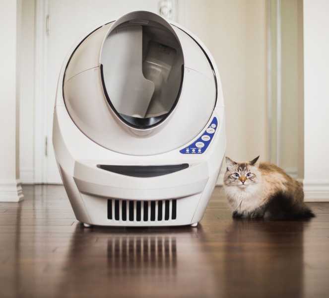 Самоочищающийся туалет для кошек: 7 популярных моделей