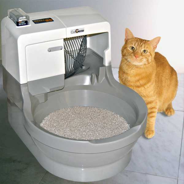 Самоочищающийся туалет для кошек: 7 популярных моделей