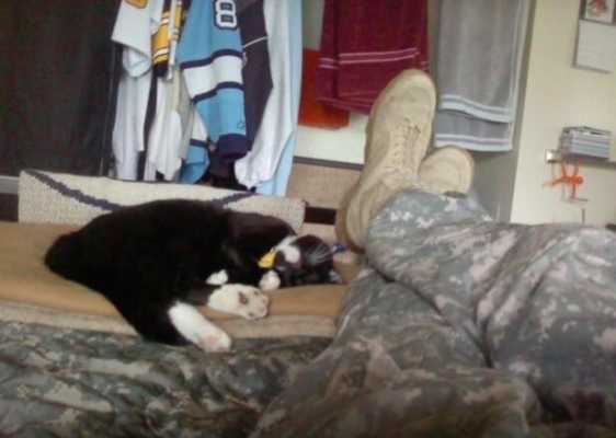 Ветеран войны решил свести счеты с жизнью, но черный котенок не дал ему этого сделать - он прыгнул в ноги и стал плакать