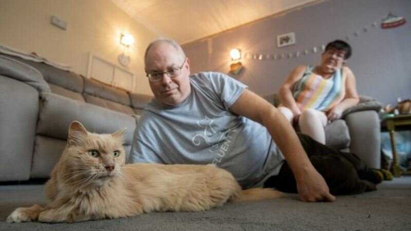 Мужчина был в шоке, когда его пропавший кот вернулся 3 года спустя