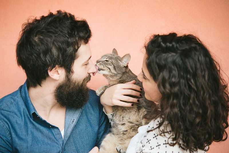 5 причин, почему кошки делают нас счастливее и здоровее