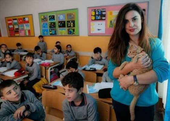 Котик жил в школе и учился вместе с ребятами, все были счастливы, пока о питомце не узнали мамочки-активистки - кота выгнали